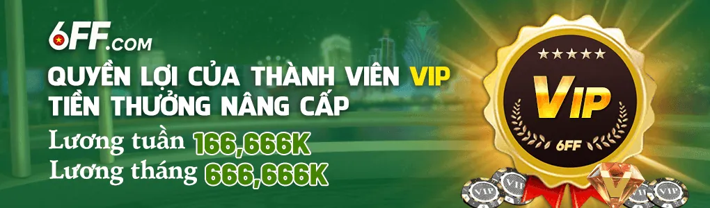 Quyền lợi của thành viên VIP